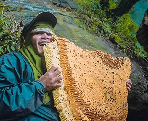 MAD HONEY | 36 Oz. (1000g)| HIMALAYAN CLIFF HONEY | MEDICINAL MAD