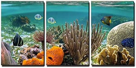 Download Art Vue Sous Marine De L Ocean Toile De Mur Decoration Murale 3 Panneaux Amazon Fr Bricolage For iPhone Get Wallpaper Art Vue Sous Marine De L Ocean Toile De Mur Decoration Murale 3 Panneaux Amazon Fr Bricolage For Android Free