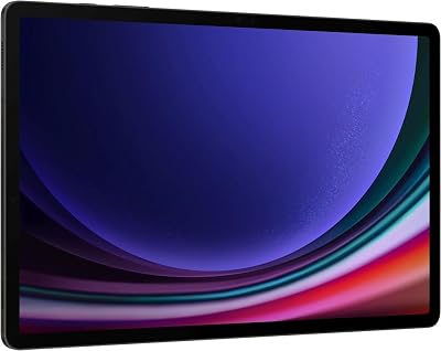 Samsung Tab S9 5G WIFI 256GB 12GB RAM Graphite EU