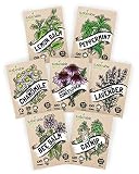 Herbal Tea Seeds Variety Pack - 100% Non GMO - Catnip, Chamomile, Lavender, Mint, Lemon Balm, Bee Balm, Echinacea. Medicinal Seeds for Planting in Your herb Garden