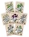 Herbal Tea Seeds Variety Pack - 100% Non GMO - Catnip, Chamomile, Lavender, Mint, Lemon Balm, Bee Balm, Echinacea. Medicinal Seeds for Planting in Your herb Garden primary