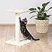 TRIXIE Pet Products Espejo Scratching Post, Gray, Medium (16 x 16 x 27 in.), (43341)