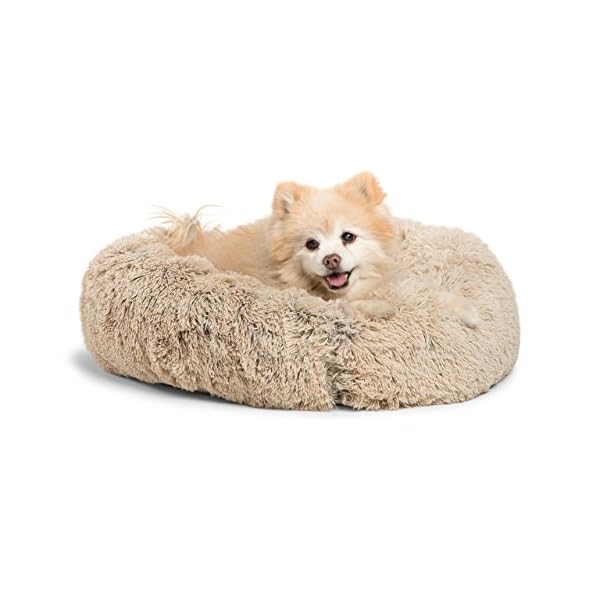 best friends by sheri donut