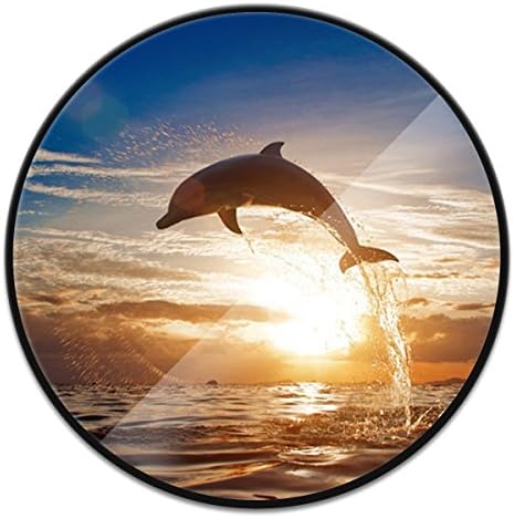 Pop Grip Socket, Prevent Phones from Dropping,Expanding Stand Grip for Iphone8/7/7Plus/6/6s/6Plus and Ipad [Jumping Dolphin]
