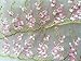 Lace Fabric White Organza Pink Floral Embroidery Wedding Bridal by The Yard