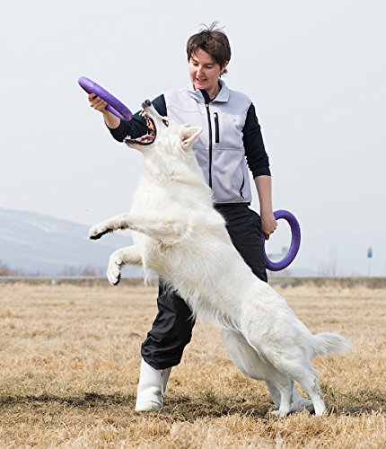 collar puller two rings active toys