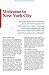 New York City 10 (Lonely Planet Travel Guide)