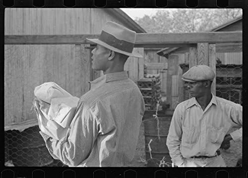 Children of strawberry picker, Hammond, Louisiana