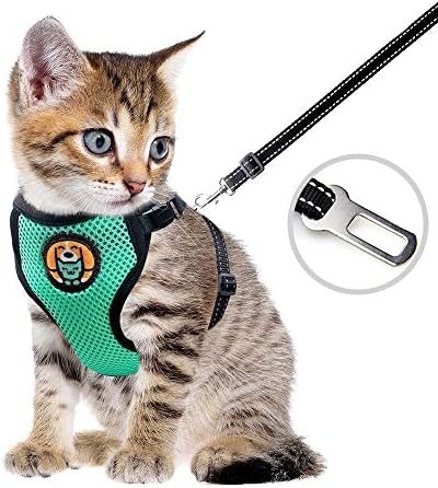 AWOOF Reflective Kitten Harness and 