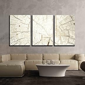Textured Grey Tree Stump - Canvas Art Wall Art - 16"x24"x3 Panels