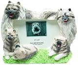 E&S Pets 35257-145 Large Dog Frames