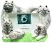 E&S Pets 35257-145 Large Dog Frames