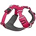 Ruffwear, Front Range Dog Harness, Reflective Soft Padded Everyday Harness with Dual Leash Clips, Adjustable and Lightweight Fit for Training or Walking for All Dogs, Wild Berry, Small