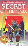 Secret of the Ninja