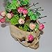 Xinhuaya Retro Human Skull Head Flower Pot Planter Bed Box Container Replica Home Bar Decor
