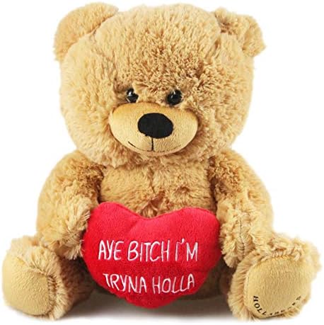 Hollabears 10 Aye Bitch I'm Tryna Holla Teddy Bear Plush