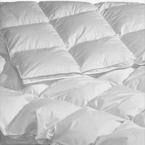 Highland Feather Manufacturing 40-Ounce La Palma Goose Down Duvet, Queen, White