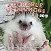 Adorable Hedgehogs 2019: 16-Month Calendar - September 2018 through December 2019 by 