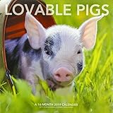 Lovable Pigs Wall Calendar (2019) by 