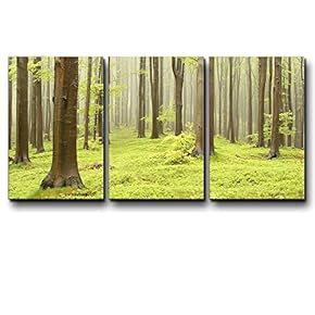 Three Piece Canvas - Tree Forest During Spring Time with Green Grass Growing on The Ground on 3 Panels - Canvas Art Home Art - 16x24 inches
