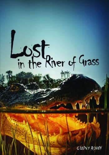 Lost in the River of Grass (Carolrhoda Ya)