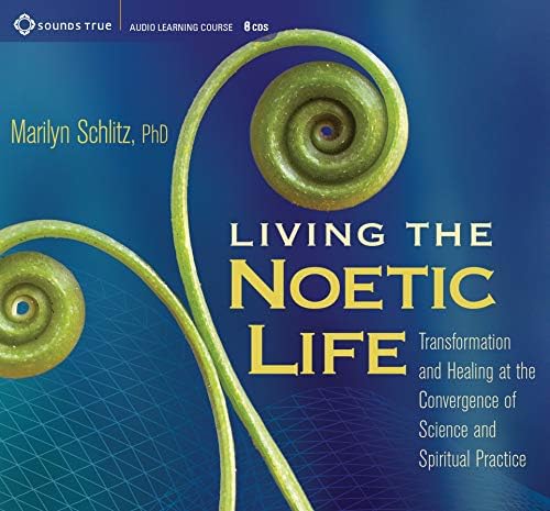 Living the Noetic Life: Transformation and Healing at the Convergence of Science and Spiritual Practice Audio CD โ Audiobook, 6 Jun. 2015