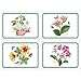 Pimpernel Exotic Botanic Garden Placemats - Set of 4