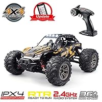 Hosim High Speed 24MPH 4WD 2.4Ghz Racing Car 9137, 1:16 Scale 4x4 Off-Road RC Trucks with Light Electronic Monster Truck Dune Buggy Hobby Toys for Kids & Adults (Orange)