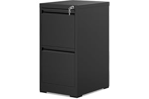 RICHRYCE [New-Gen] 2 Drawer File Cabinet with Lock, Vertical Metal Filing Cabinet, Small Filing Cabinet Under Desk,Mini Cute Files Cabinets for Home Office,Desk Drawer Fit Letter/Legal/A4 Size Files