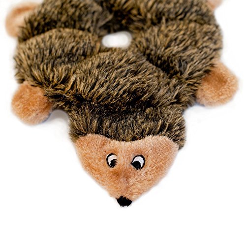 ZippyPaws Loopy Hedgehog No Stuffing Squeaky Plush Dog Toy For