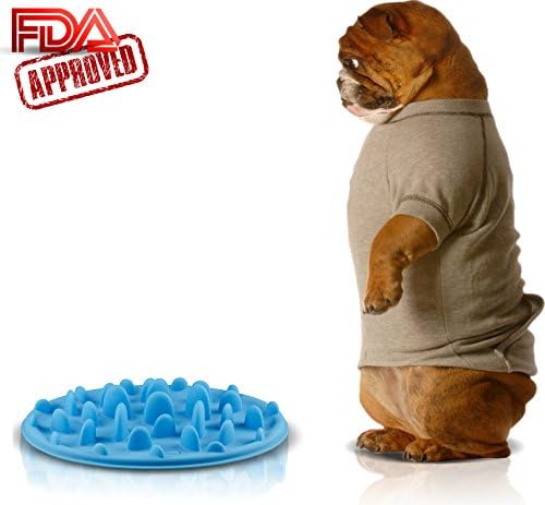 My Lucky Pets Slow Feed Dog Bowl - FDA Approved Bloat Remedy Will Guarantee Slower Feeding time - Great for Cats (Blue, Small)