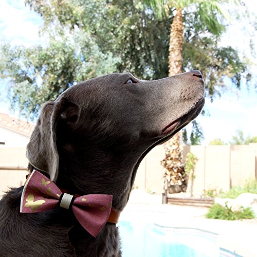 Pet Me With Love "The Park" Bow Tie - Ribbon Style 1 (Small)
