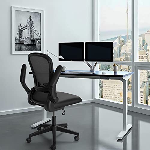 Devoko Office Desk Chair Ergonomic Mesh Chair Lumbar Support with Flip Up Arms and Adjustable