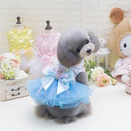 KYZ Dog Cat Sun Protection Clothes Lace Dress Small Dog Cat Teddy Shirt Pet Dod Skirt (S, blue)