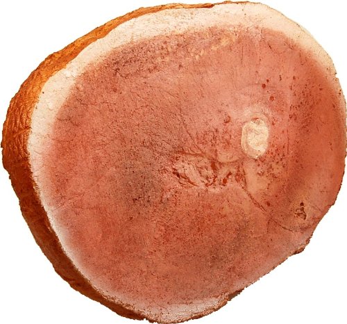 Flora-cal Products Fake Ham Roasted Display Prop Made in America - Thumbnail 4