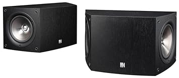 dj speaker 24 inch