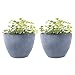LA JOLIE MUSE Flower Pot Garden Planters Outdoor Indoor, Plant Containers with Drain Hole, Weathered Grey(12 Inch, Pack 2)