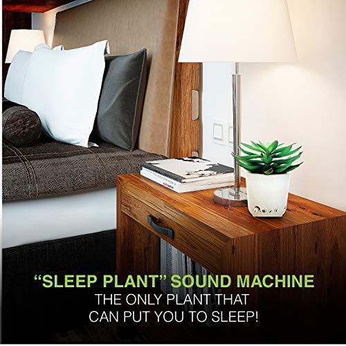 sound machine that stays on all night