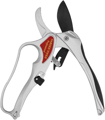 hstcstbl-table__image