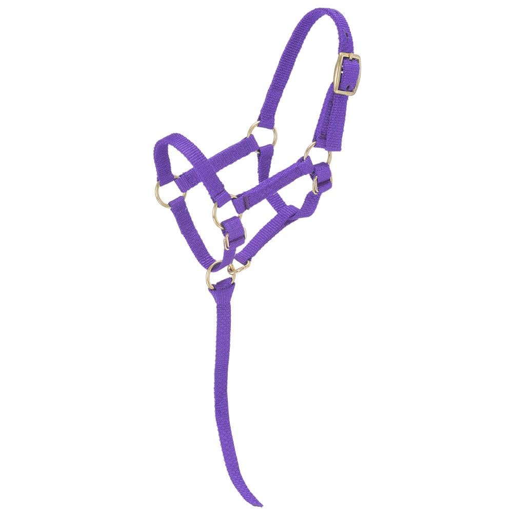 Tough 1 Miniature Nylon Halter, Purple, Large Mini
