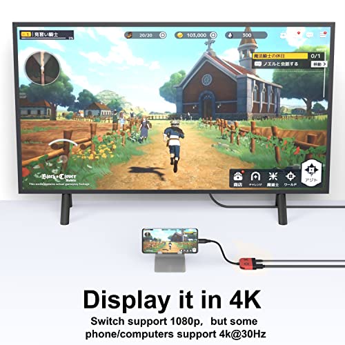 Switch Dock for OLED Nintendo Switch,Portable TV Dock with HDMI USB 3.0