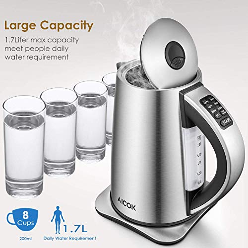 Electric Kettle Variable Temperature Stainless Steel Tea Kettle