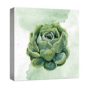 Canvas Wall Art for Living Room,Bedroom Home Artwork Paintings Succulent Ready to Hang - 12x12 inches