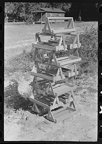 Strawberry pickers carriers for sale near Ponchatoula, Louisiana