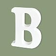 AOCEAN 10 Inch White Big Wood Letters, Unfinished Wooden Letters For Wall Decor, Standing Letters Slices Sign Board Decoration, Craft Home Party Projects (E