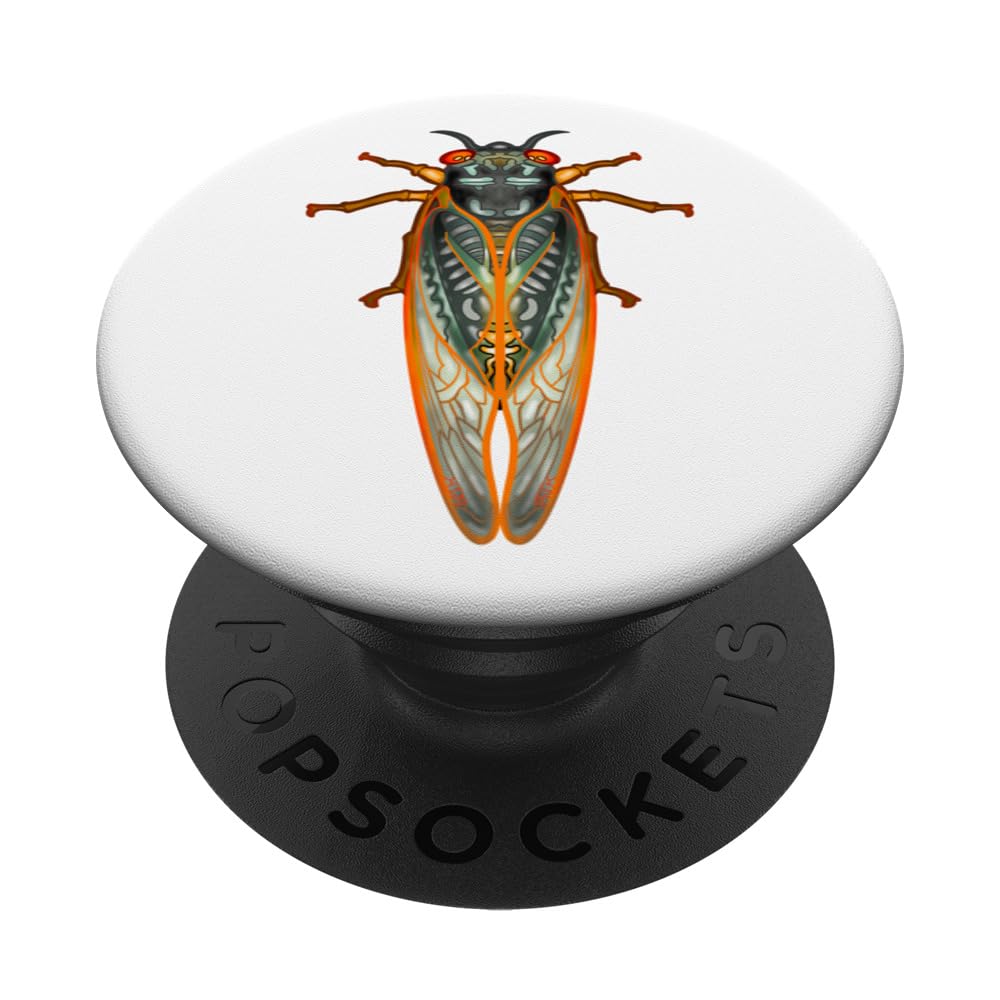 Cicada Brood XIX XIII Magicicada Septendecim 221 2024 PopSockets Swappable PopGrip