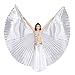 Dance Fairy Belly Dance 360 Degree Isis Wings with Portable Flexible Sticks,Silver