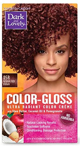 Amazon Com Softsheen Carson Dark And Lovely Color Gloss Ultra