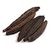 Ikshvaku Organic Kapok Seeds (Marathi Moggu) | Natural Indian Farm Products from Malnad, Mangalore | ONE Packs