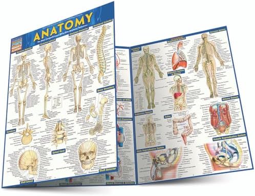 PHYSIOLOGY Quick Study Academic 生理学 Physiology: QuickStudy Laminated Reference Guide (QuickStudy
